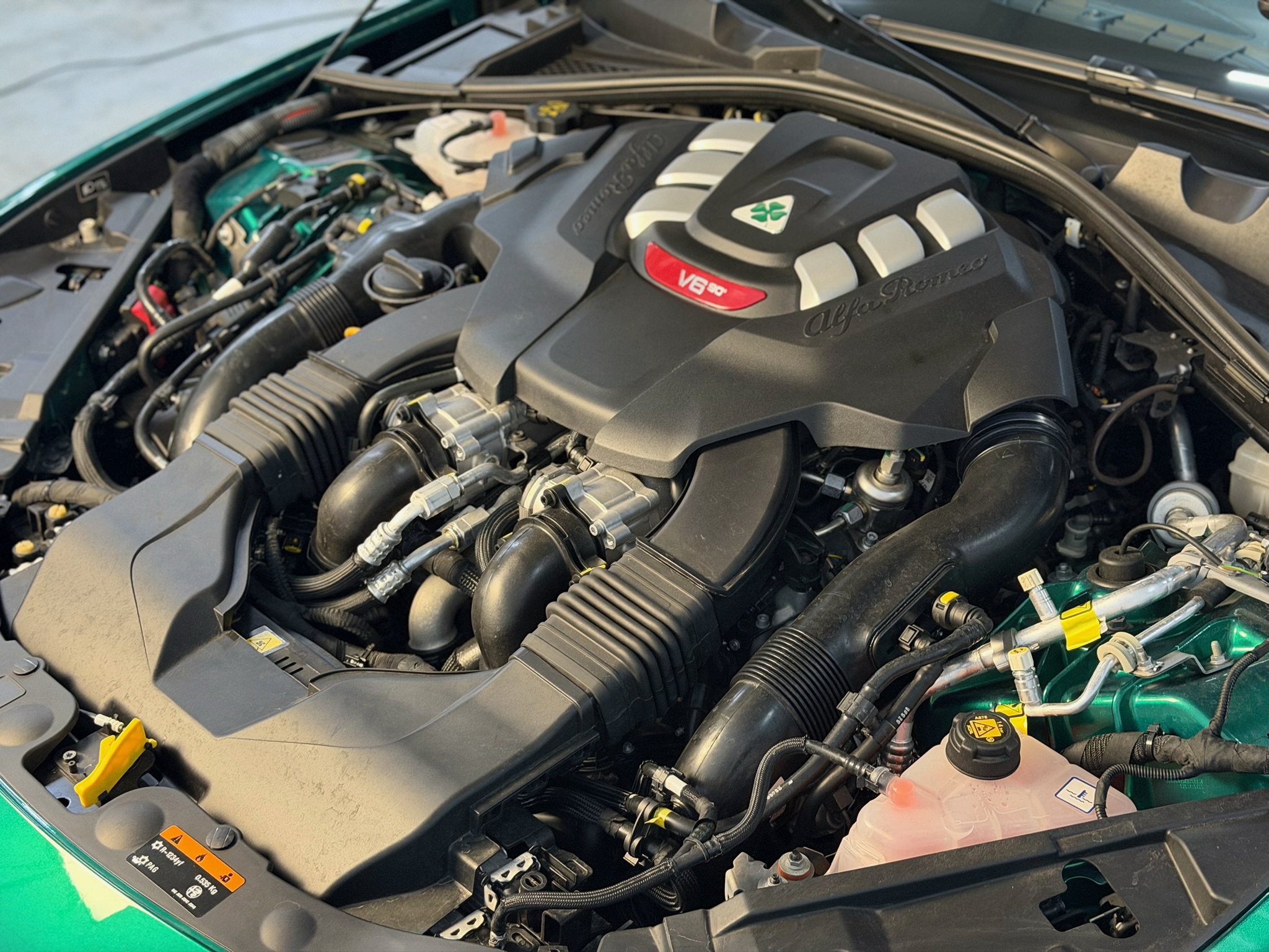 
								Alfa Romeo Giulia 2.9 V6 Bi-Turbo AT8 Quadrifoglio inkl. MwSt full									