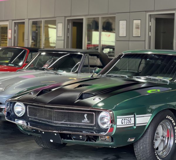 Ramcar Classic